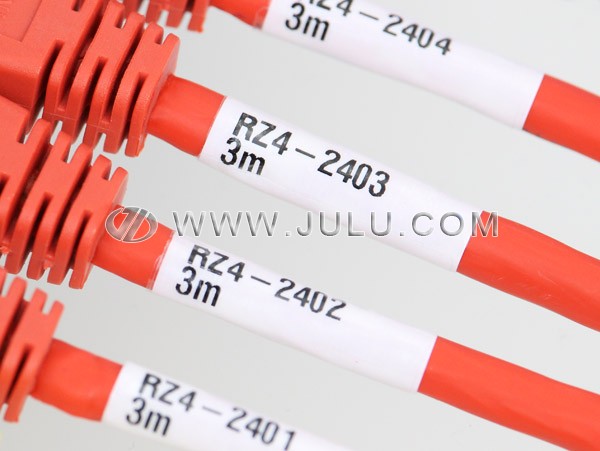 1772762965980006.jpg 1651983639702014.jpg